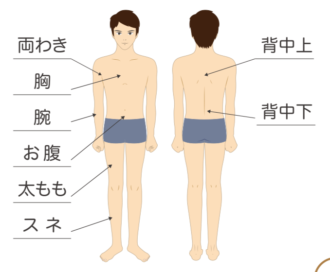 メニュー